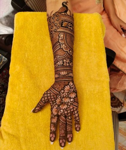 WhatsApp Image 2026-02-14 at 12.52.22 PM